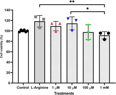 Endothelial dysfunction due to the inhibition of the synthesis of nitric oxide: Proposal and characterization of an in vitro cellular model